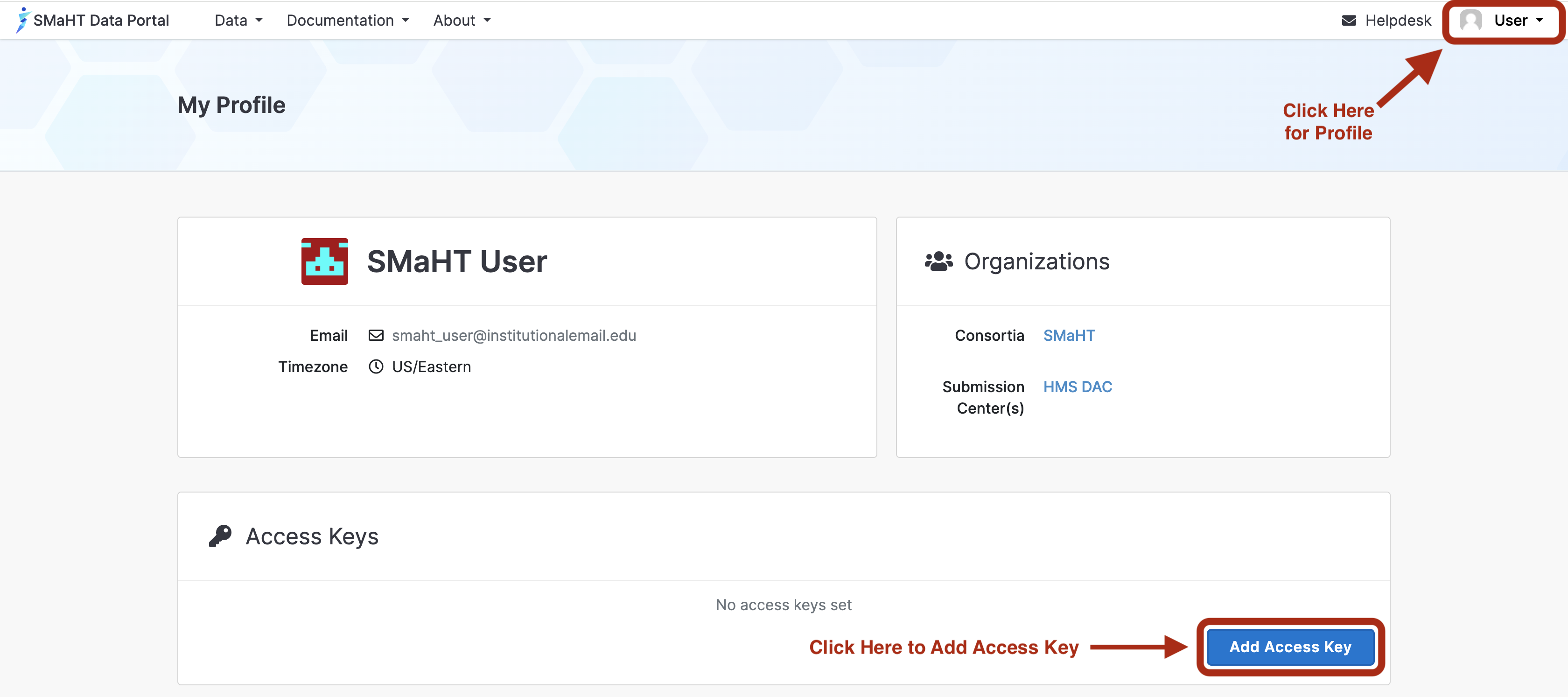 Portal Access Key Creation (Before)